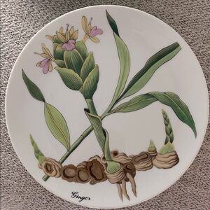 2 VTG Horchow Botanical Herb seed salad plates Ginger flower bulb 7.5 “Japan